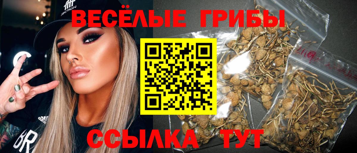 Псилоцибиновые грибы Magic Shrooms  Вход с VPN  Можга  Псилоцибиновые грибы прущие грибы 
