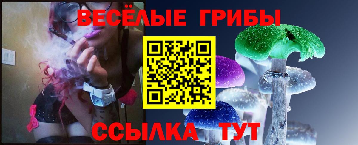 Псилоцибиновые грибы Magic Shrooms Можга